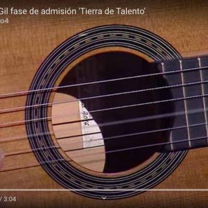 Guitarra Tierra de Talento