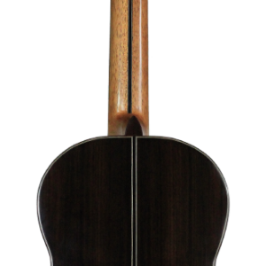 Palisandro guitar